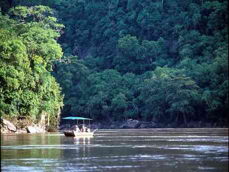 Spectacular Wildlife & Chimp Safari